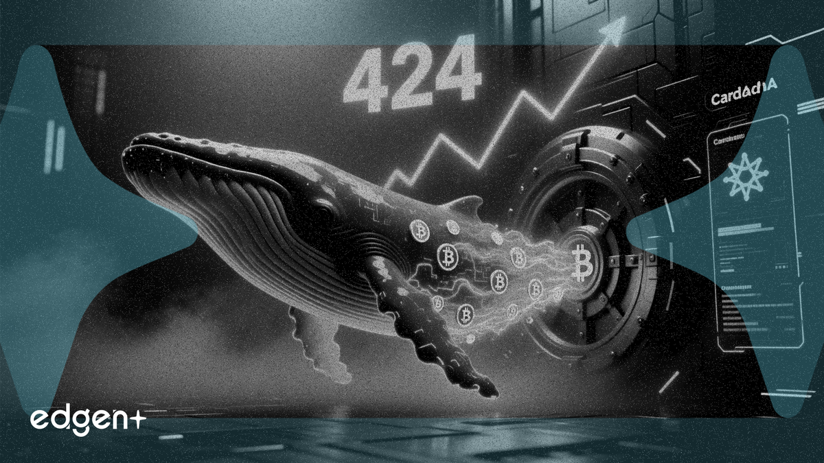 Cardano 巨鯨錢包數量突破 424 個，增持趨勢仍在持續