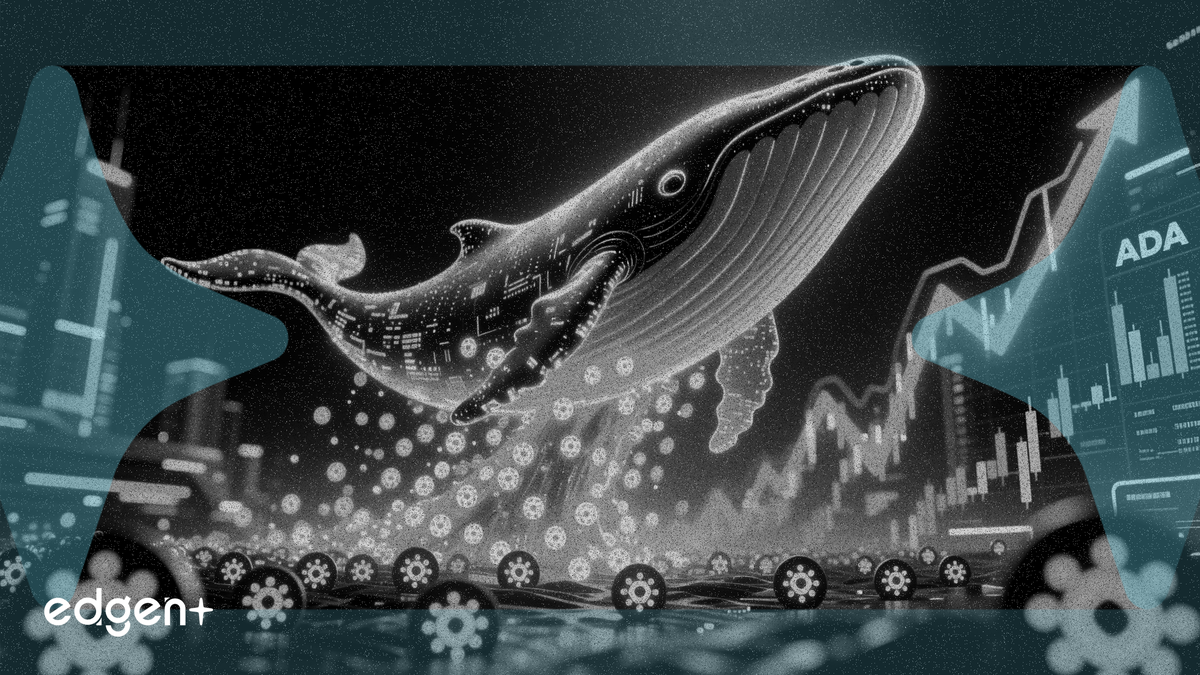 Las ballenas de Cardano añaden 10 millones de ADA mientras los datos on-chain señalan un giro alcista