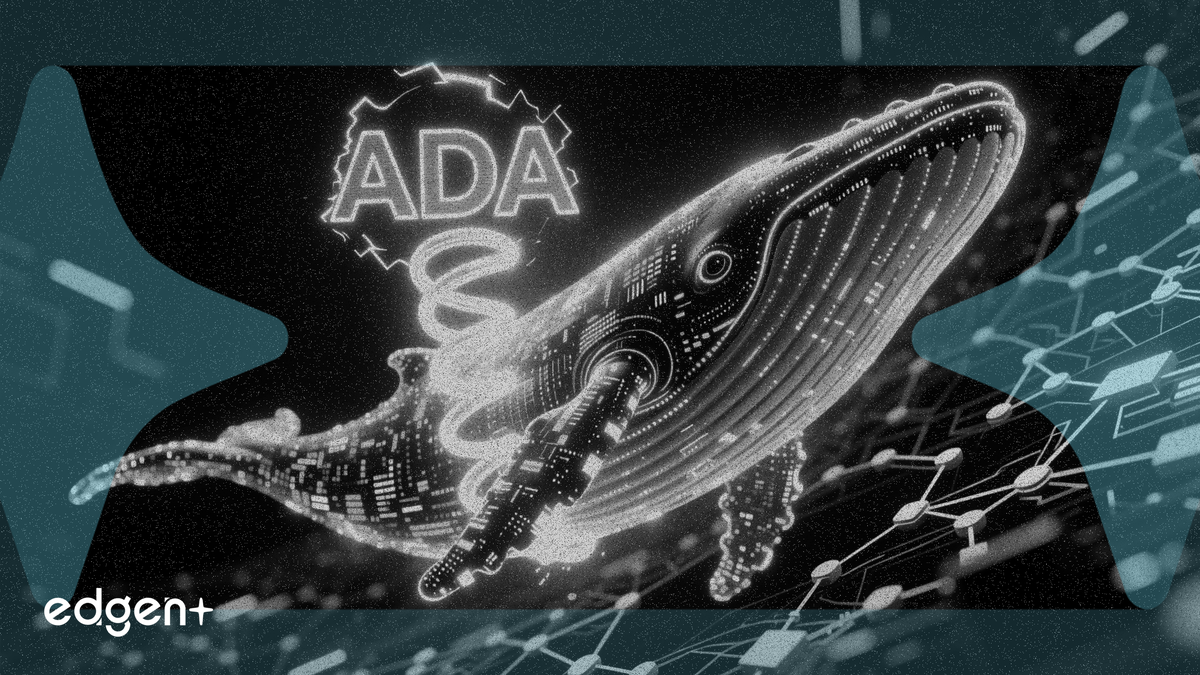 Cardano 鯨魚增持 2.2 億枚 ADA，幣價蓄勢待發迎接突破