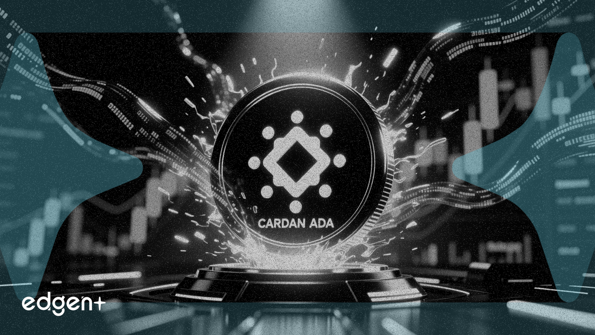 Cardano 的 Midnight 隱私鏈在上線前獲幣安上市