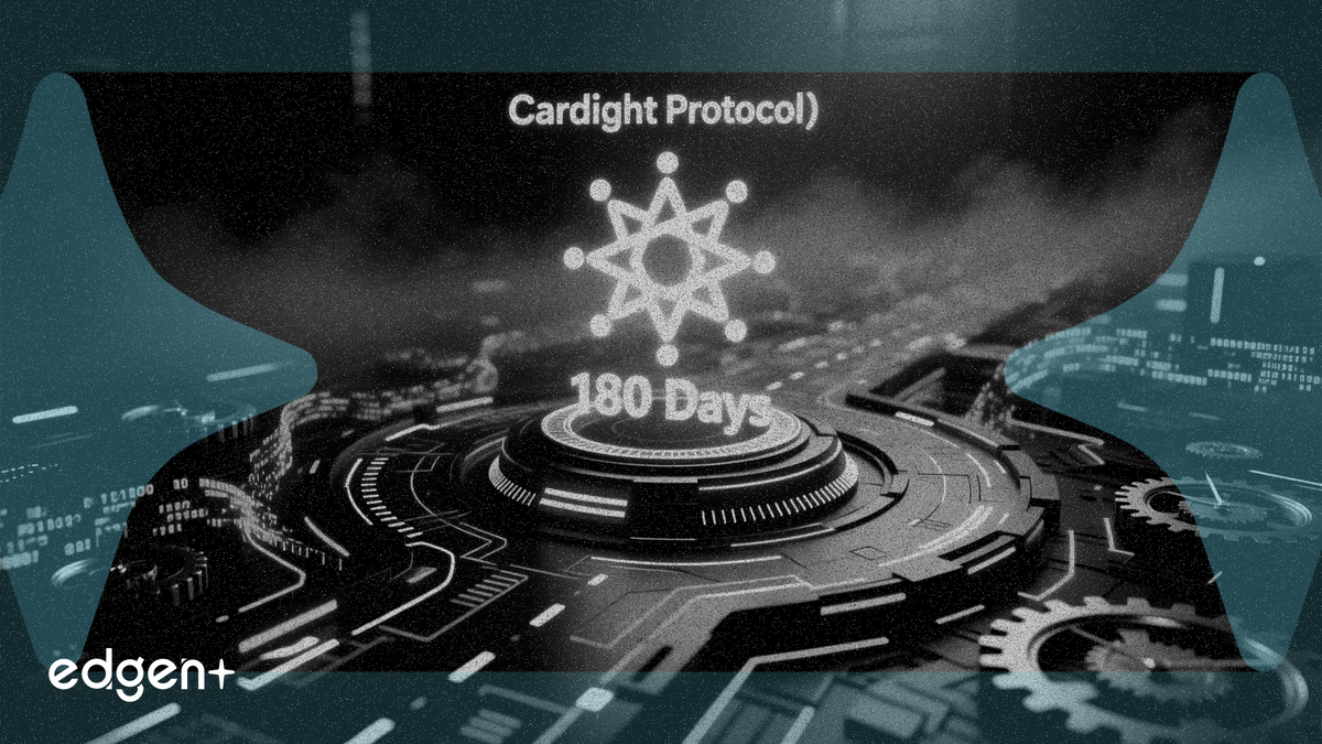 Cardano'nun Midnight Protokolü Yol Haritası Açıklandı: 180 Gün İçinde Lansman Hedefleniyor