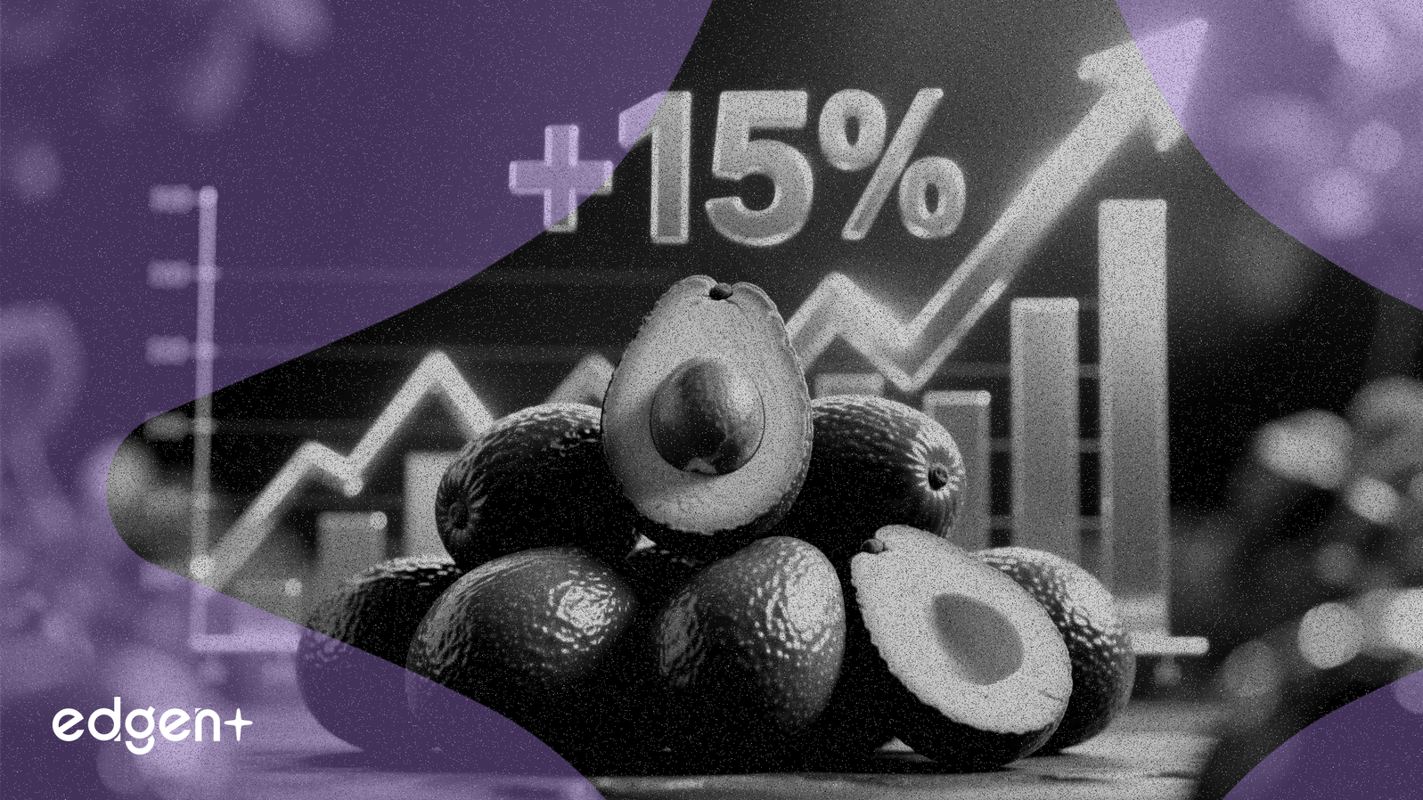 Mission Produce 受酪梨銷量強勁推動股價上漲15%