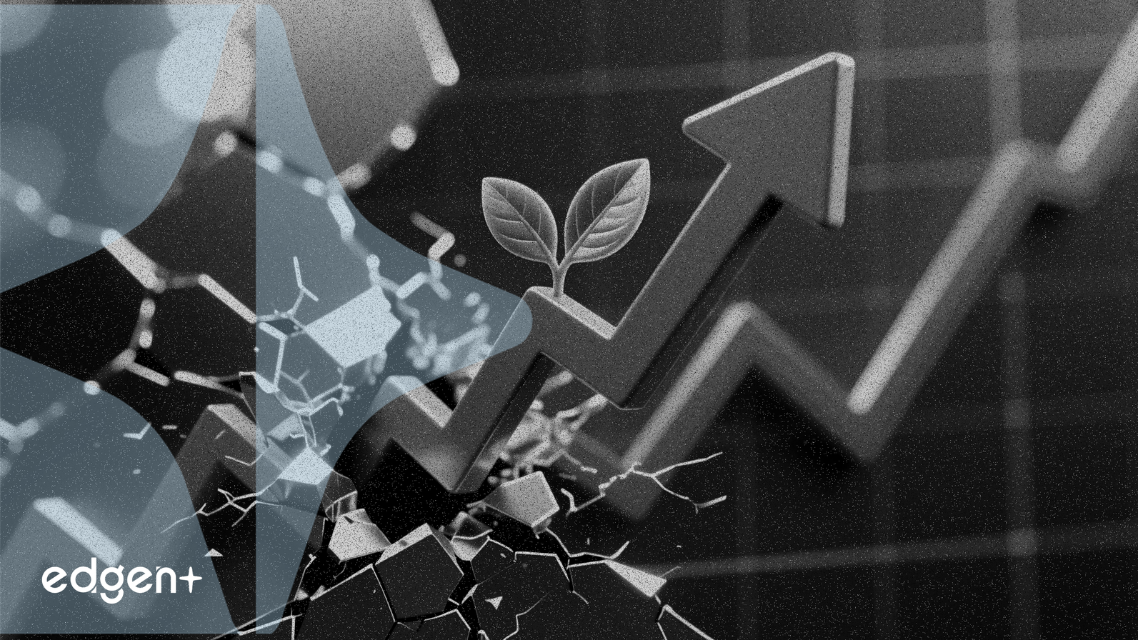 Outback Steakhouse Reverses Four-Year Traffic Decline