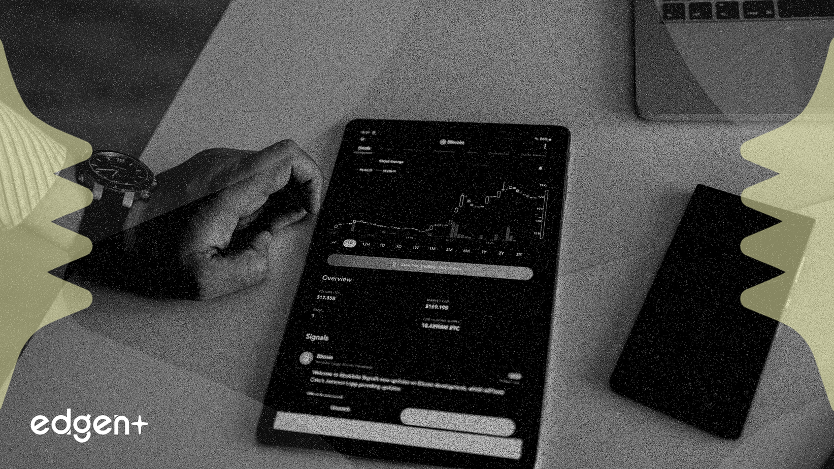 WET 代币上市推动 LP 收益率达到 5,000%