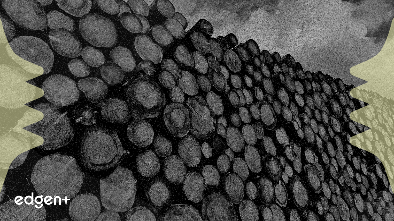 Weyerhaeuser Signale sa Préparation à un Rebond de l'Industrie