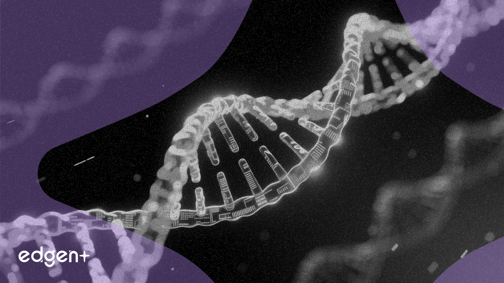 Edgewise公布3.5年贝克尔肌营养不良症药物积极数据