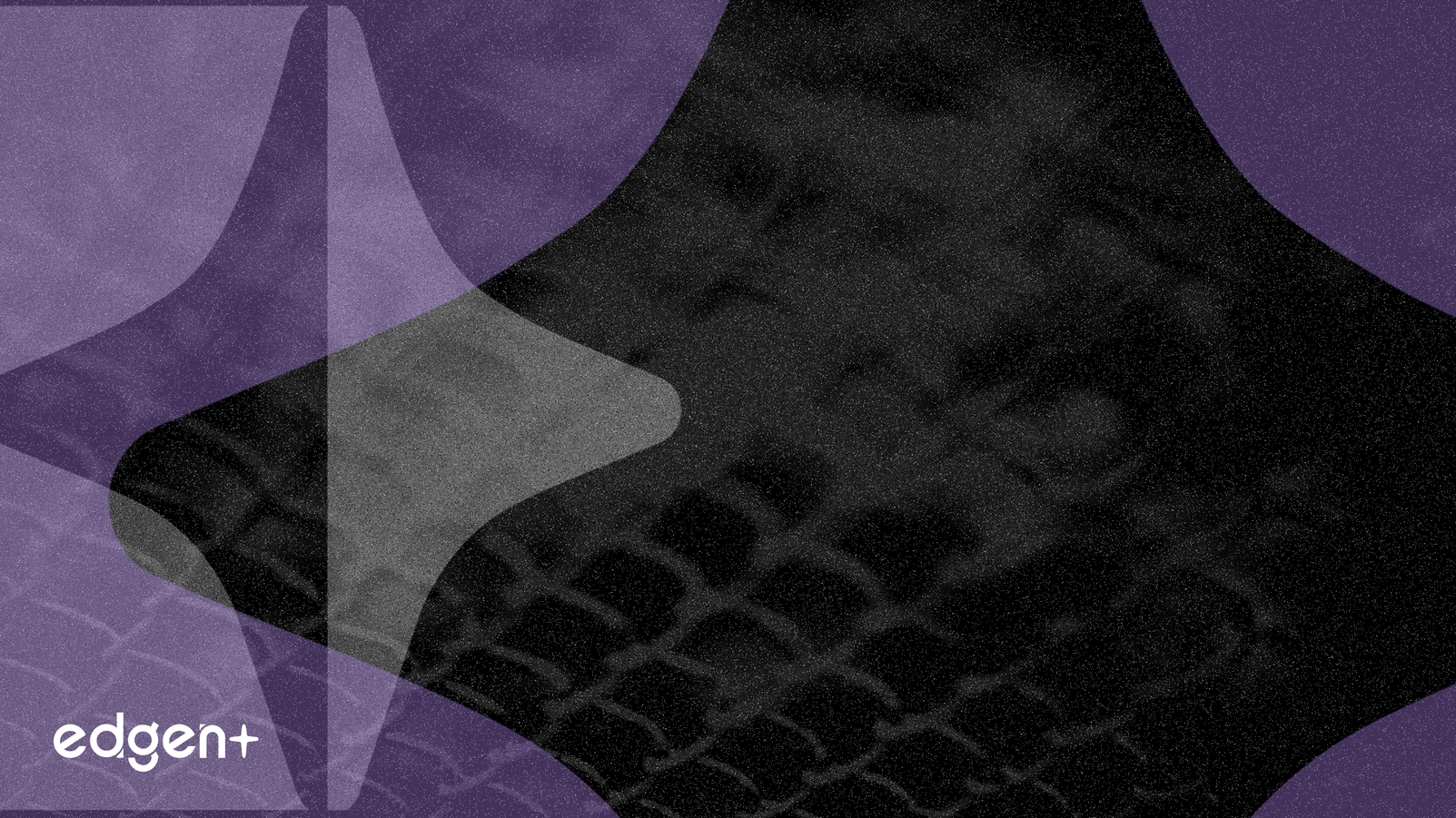 Bittensor Halves Token Supply Amid AI Push