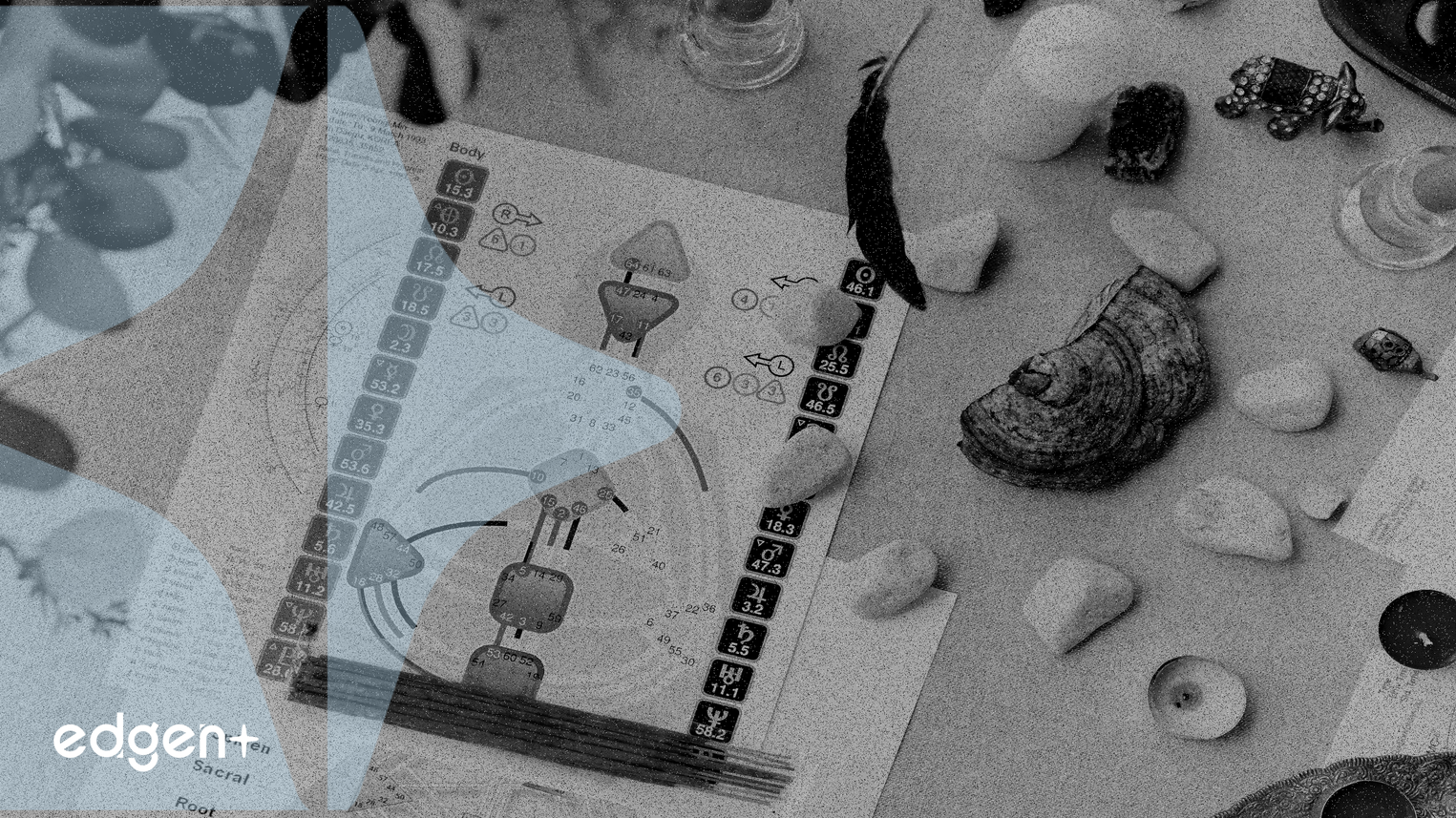 Market Stability Under Scrutiny Amid Rising Leverage and Index Concentration