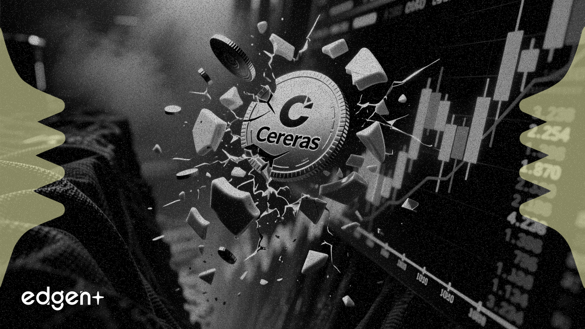 Cerebras stock falls 42% from opening high as AI chip euphoria fades