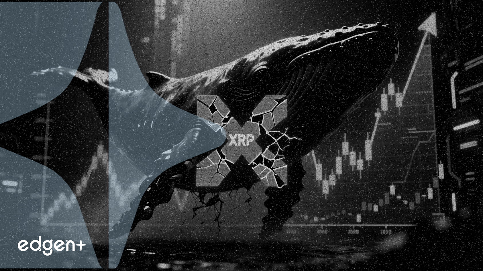 未確認のクジラが1億6600万ドル相当のXRPを移動、売り圧力への懸念が浮上