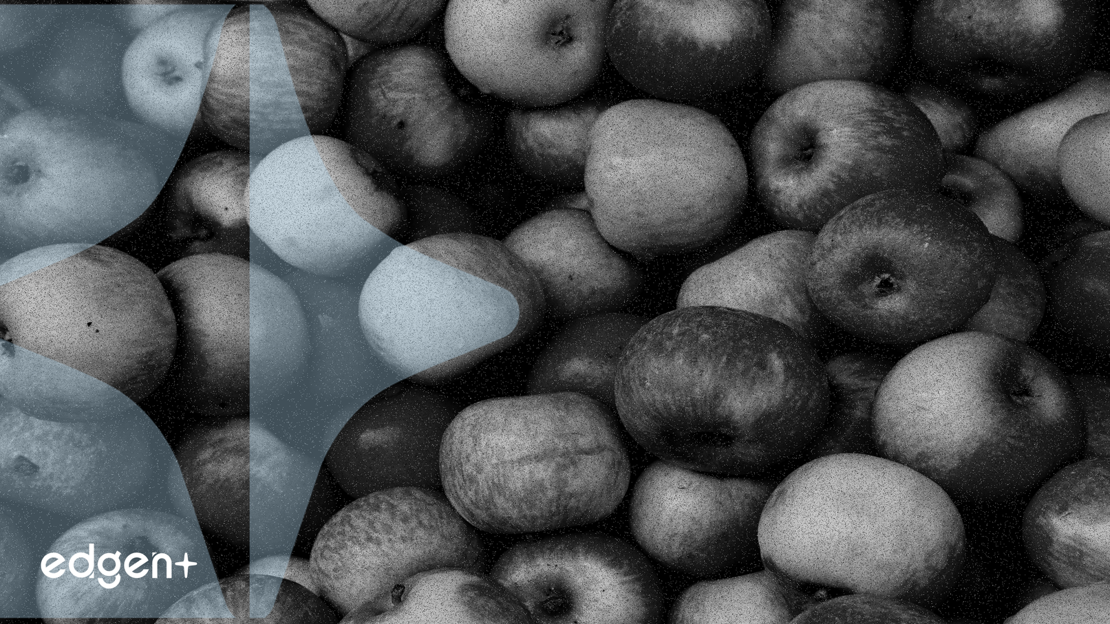 버크셔 해서웨이의 3분기 보고서, 애플 지분 잠재적 축소 시사