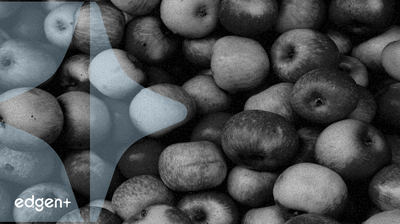 Báo cáo Q3 của Berkshire Hathaway gợi ý khả năng giảm tỷ lệ sở hữu cổ phần Apple