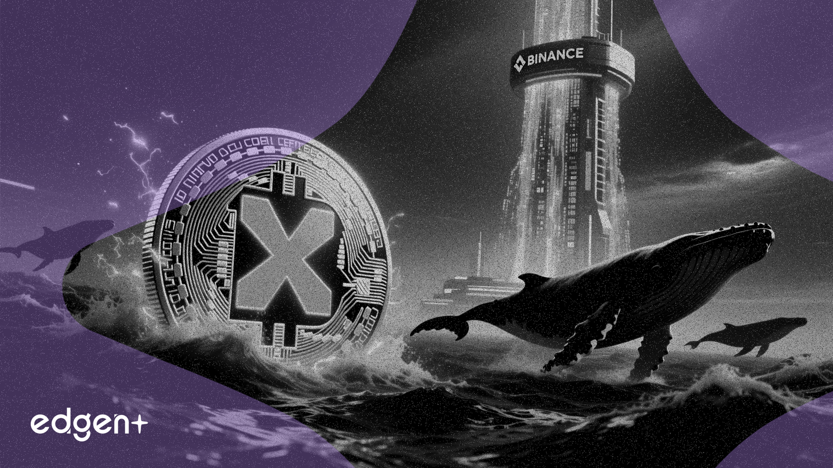 XRP Balinaları 152 Milyon Dolar Alırken, Binance Arzı Çok Yıllı Zirveye Ulaştı
