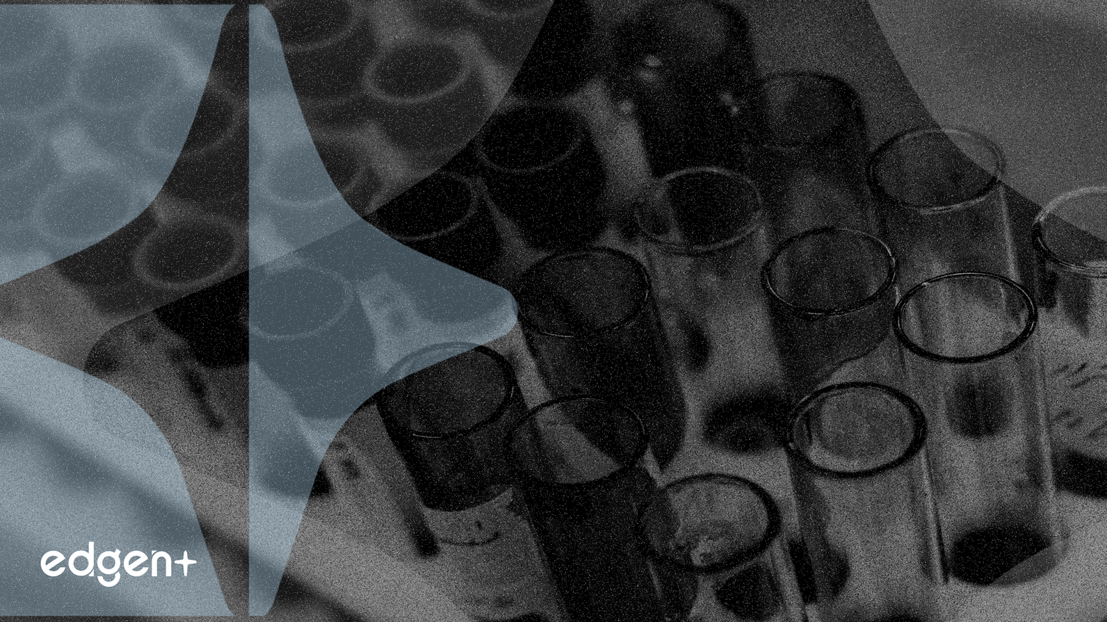 Johnson & Johnson Interrompt l'Essai de Phase Intermédiaire pour un Médicament contre la Dermatite Atopique