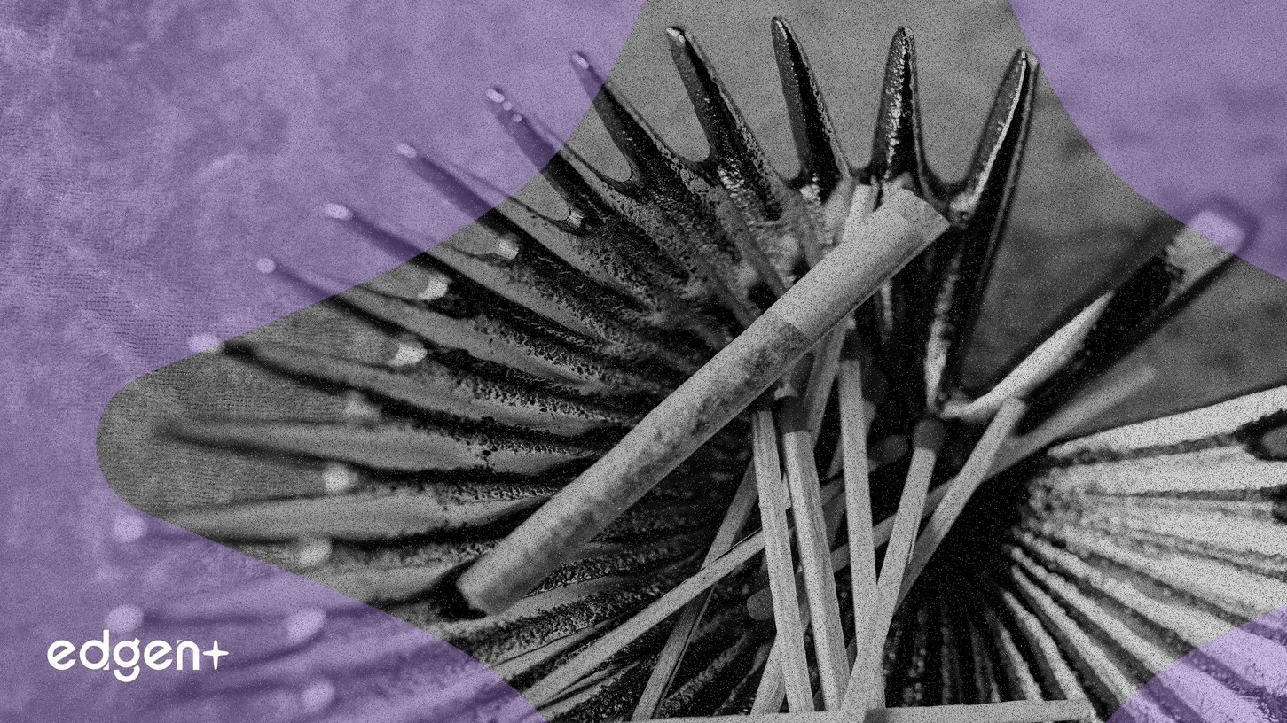 Contango ORE, Inc. Hisseleri Güçlü Altın Üretimi ve Sağlam Kazançlar Arasında Yükseliyor