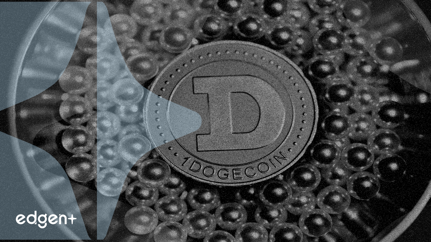 올라 마이닝 배당 시작, 성장 계획 균형 유지