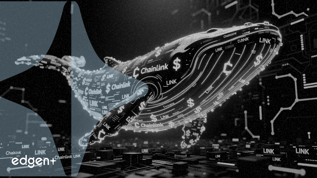 Les baleines de Chainlink accumulent 32,9 millions de LINK alors que les données on-chain signalent un squeeze