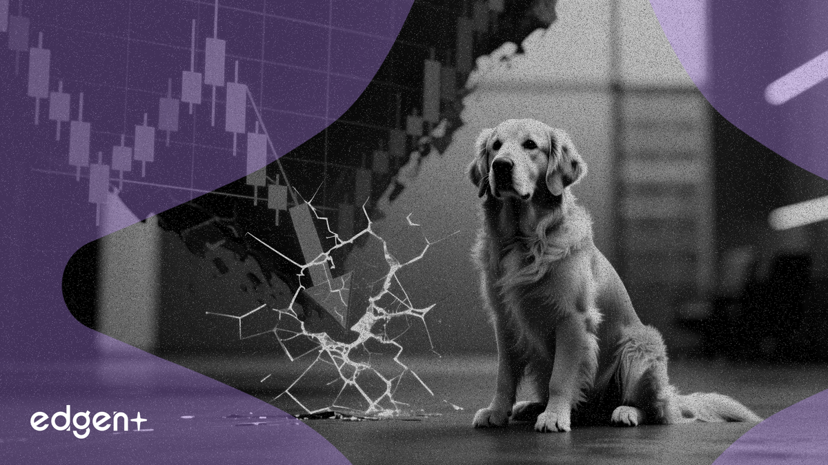 Las acciones de Chewy caen un 30% al desconectarse su valoración de los sólidos fundamentales