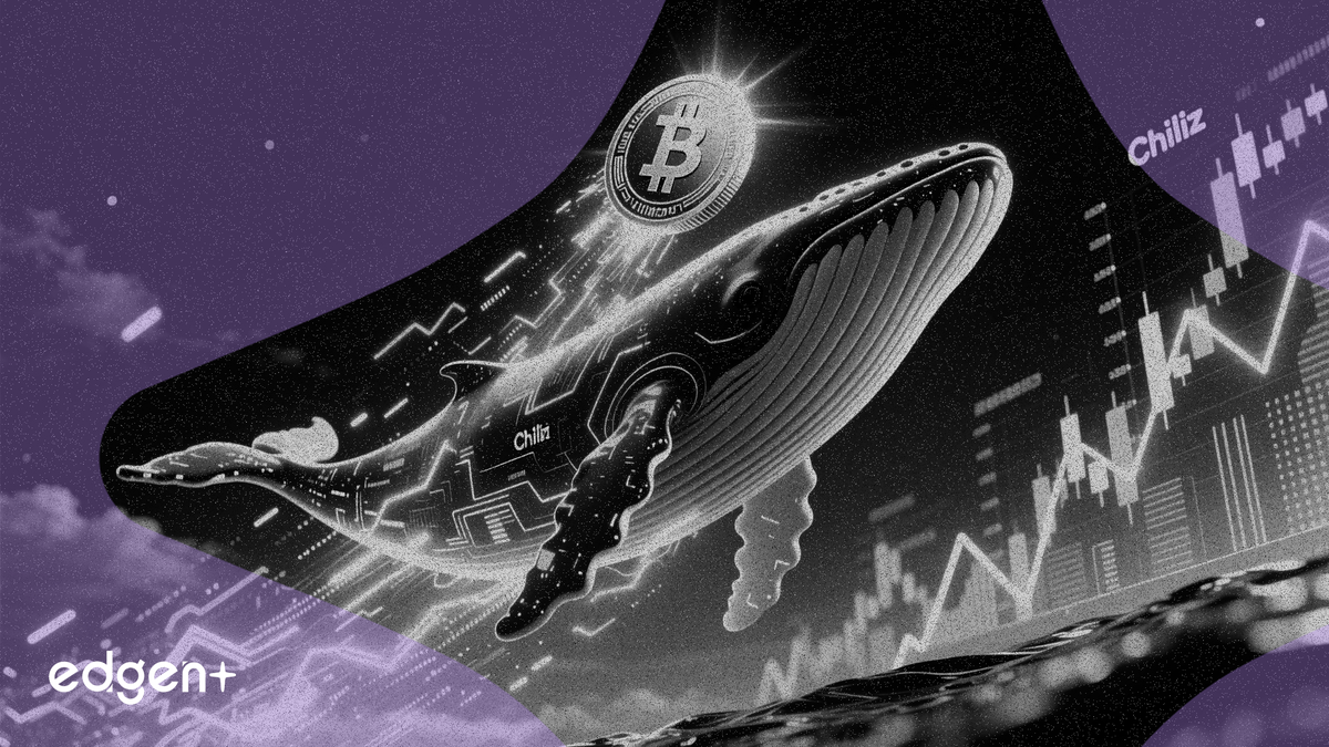 Balinalar 60 Milyon Token Eklerken Chiliz %7,5 Artışla 0,0460 Dolara Yükseldi