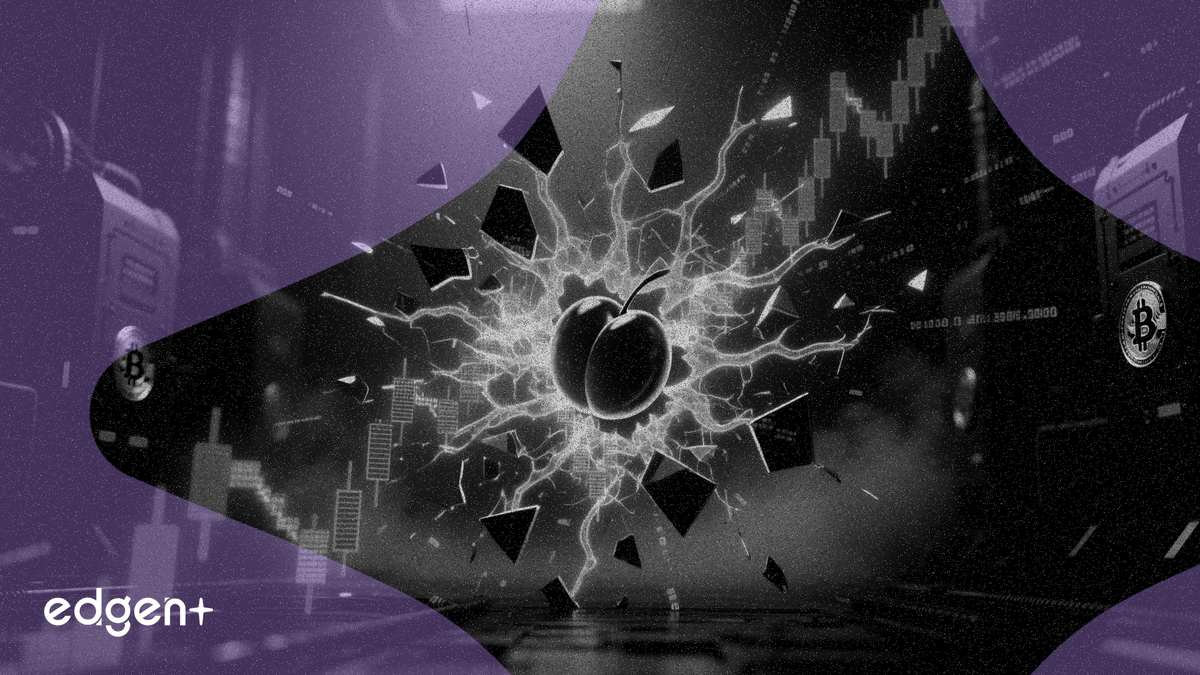 Cipher Mining Hisseleri %9 Düştü, Yapay Zeka Odaklı Kazançları Geri Aldı