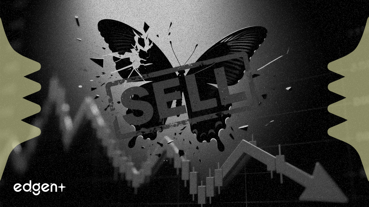 Citi hạ xếp hạng Flutter xuống mức "bán", giảm giá mục tiêu hơn 50%