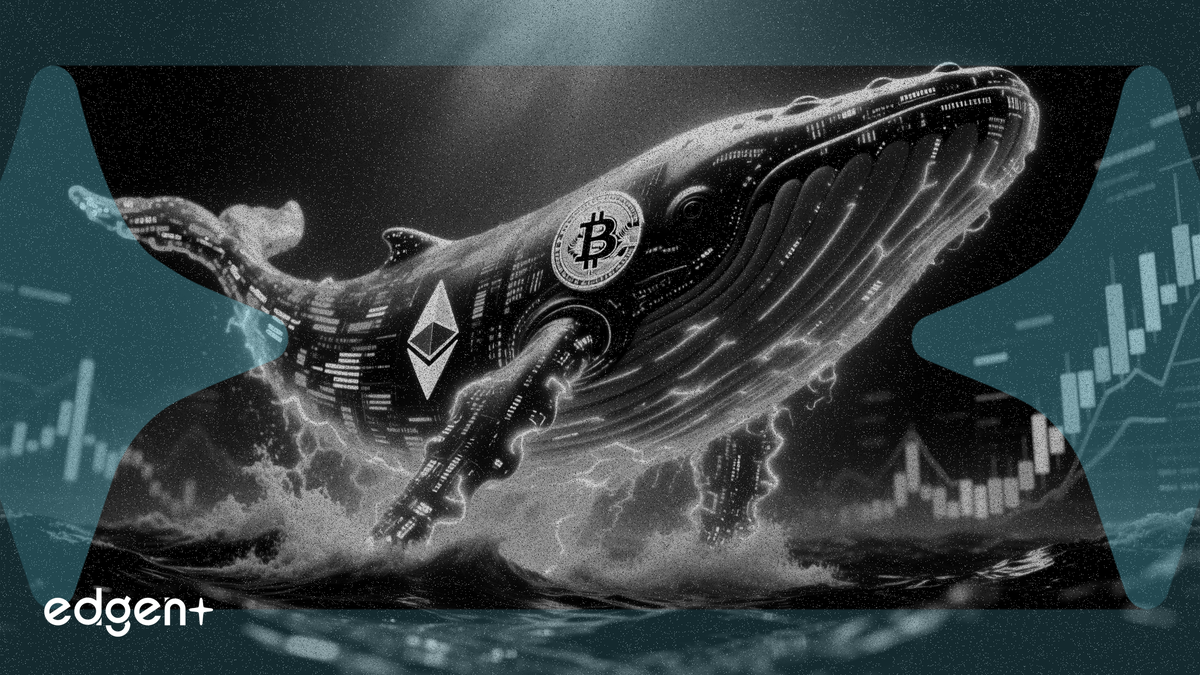 La baleine crypto Machi ouvre une position longue de 86 millions de dollars sur le Bitcoin et l'Ethereum