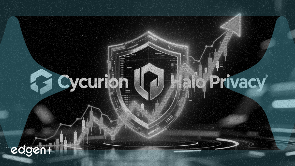 Cycurion, Yıllık Tekrarlayan Gelirine 5,5 Milyon Dolar Eklemek İçin Halo Privacy'yi Satın Aldı