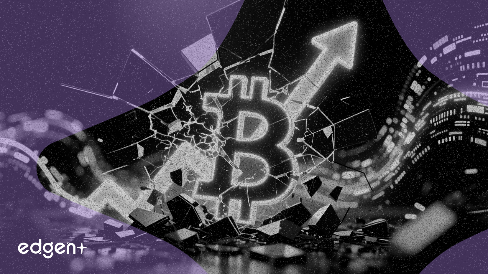 일론 머스크, 미국 달러 경고하며 비트코인 투기 심화