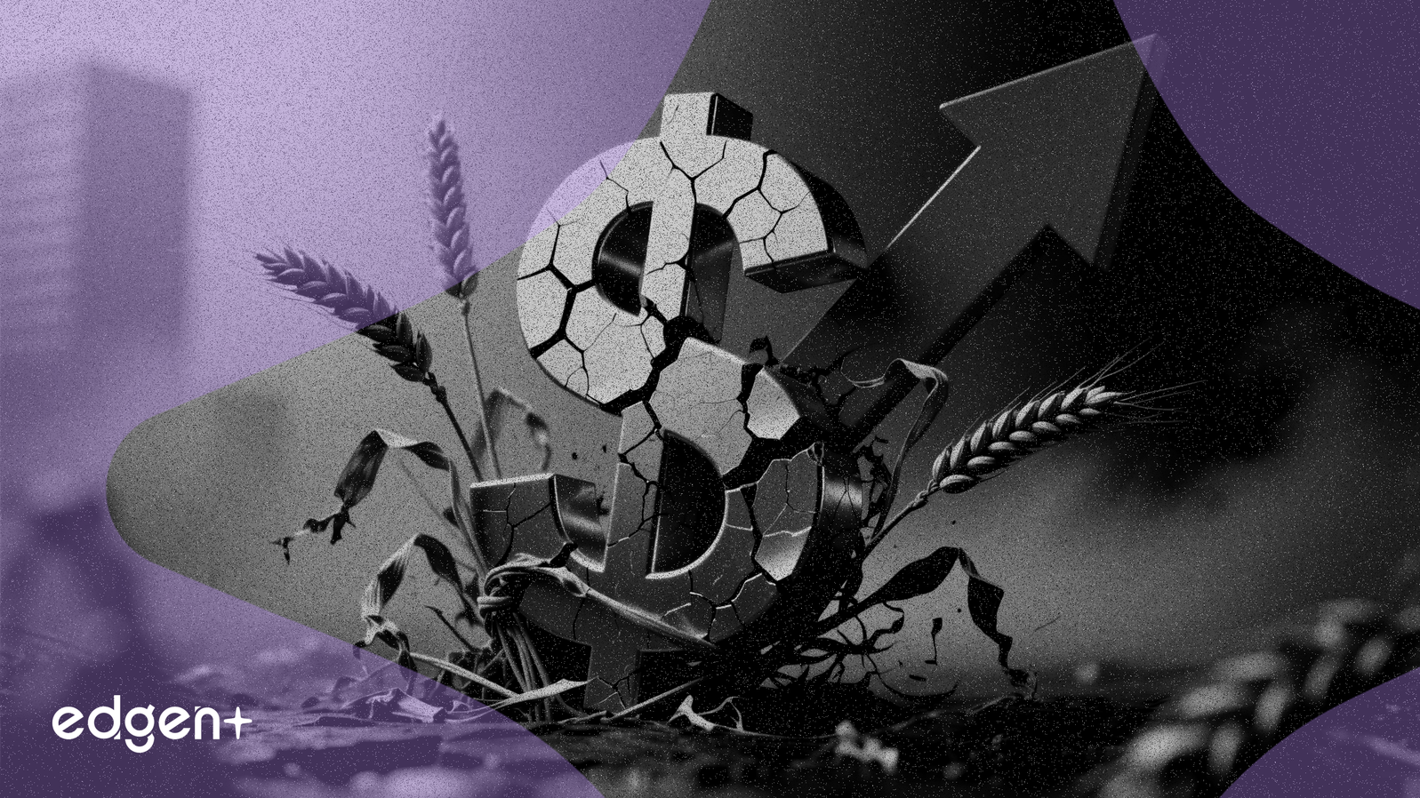 El Beneficio de Flowers Foods Cae un 30% al Contraerse los Márgenes