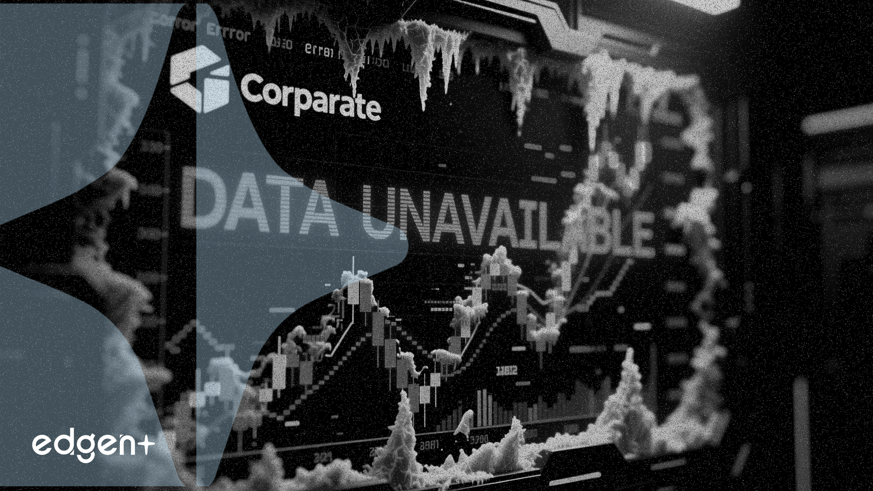 기술 오류로 인해 Church & Dwight 분석 데이터 사용 불가