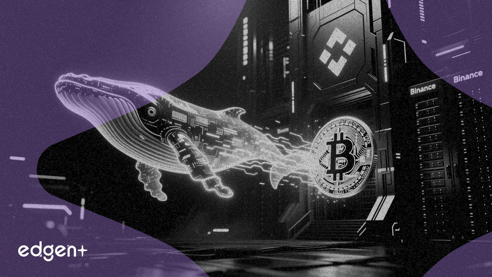 Nueva billetera de ballena retira $29.8 millones en Bitcoin de Binance