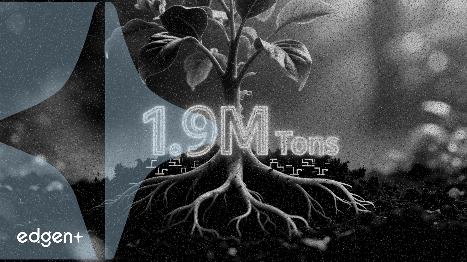 Grassroots Carbon 以 190 萬噸土壤碳清除量領跑美國市場