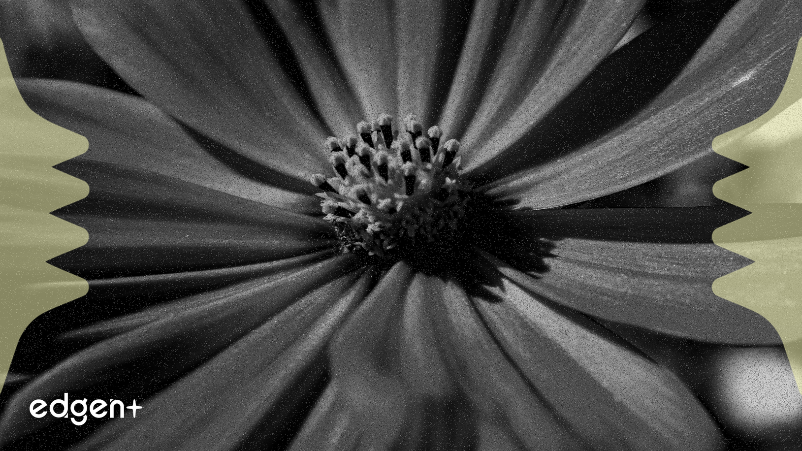 Cosmos Health Expands Ethereum Holdings to $1.5 Million Amidst $300 Million Digital Asset Strategy