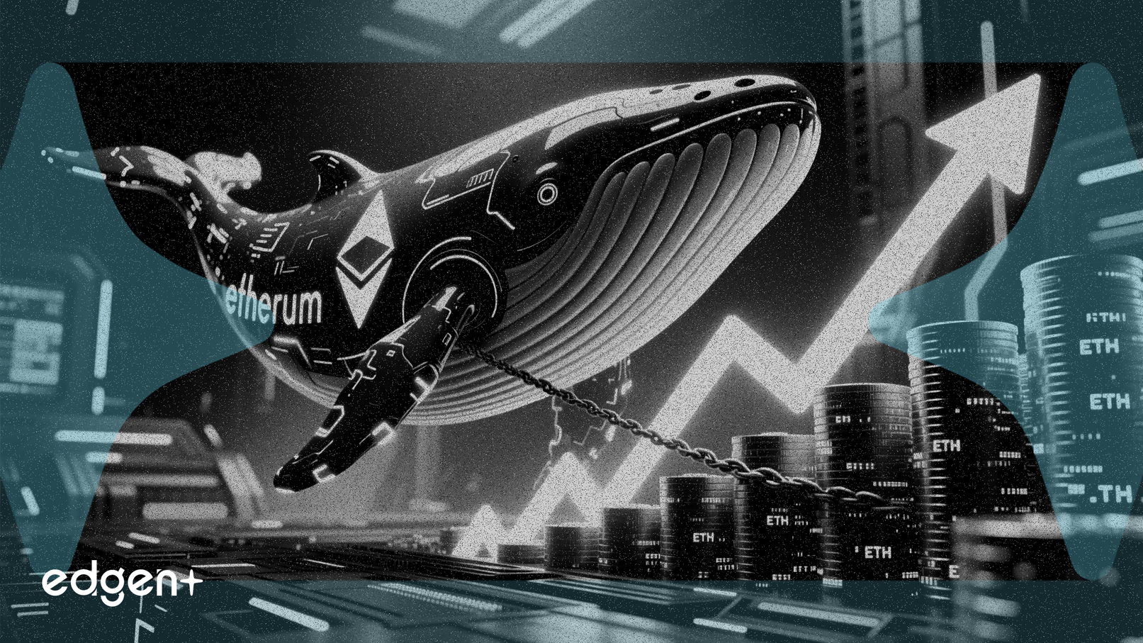 이더리움 고래들, 거래소에서 6천만 달러 인출하며 강세 신호 포착