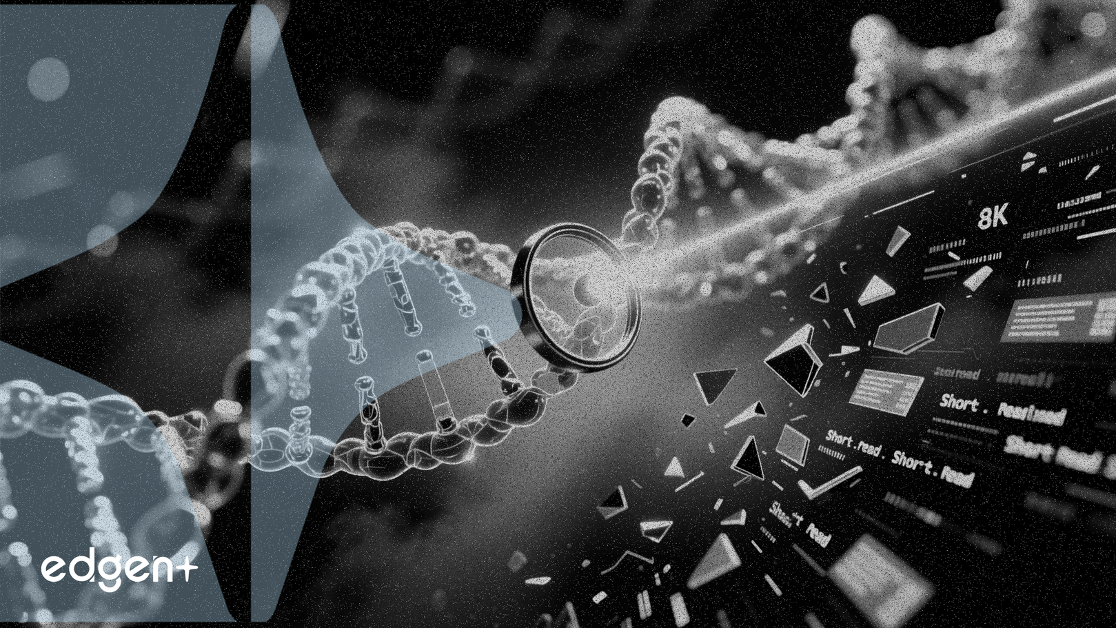 팩바이오, 단일 판독 자산 일루미나에 매각, 장일 판독 집중 강화