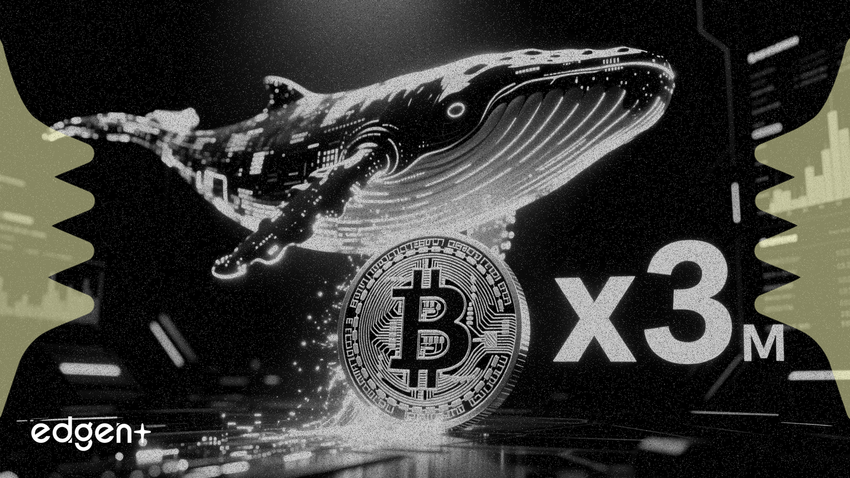 巨鯨以三倍槓桿做多比特幣，下注6739萬美元