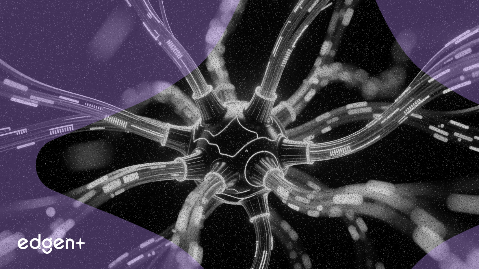 康宁推出AI光纤解决方案，争夺高密度市场份额