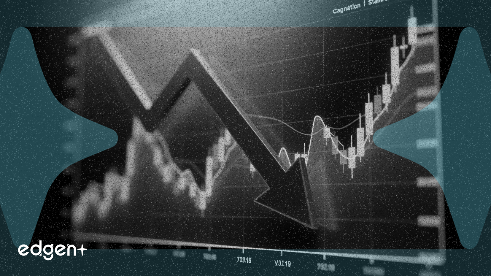 빙고 그룹 주식, 낮은 거래량 속 5% 하락