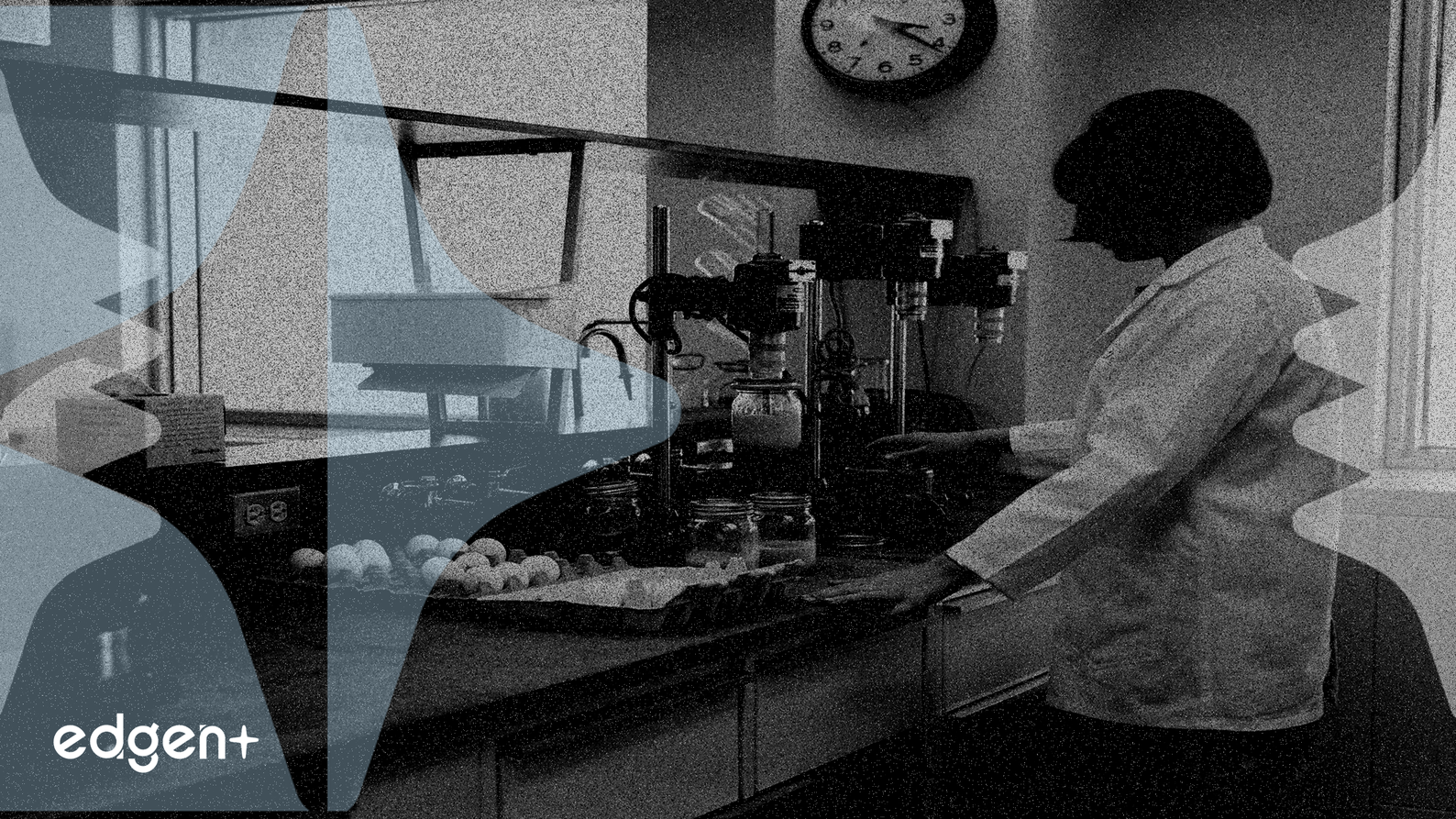 施貴寶與美國政府達成協議，將免費向醫療補助計畫提供Eliquis