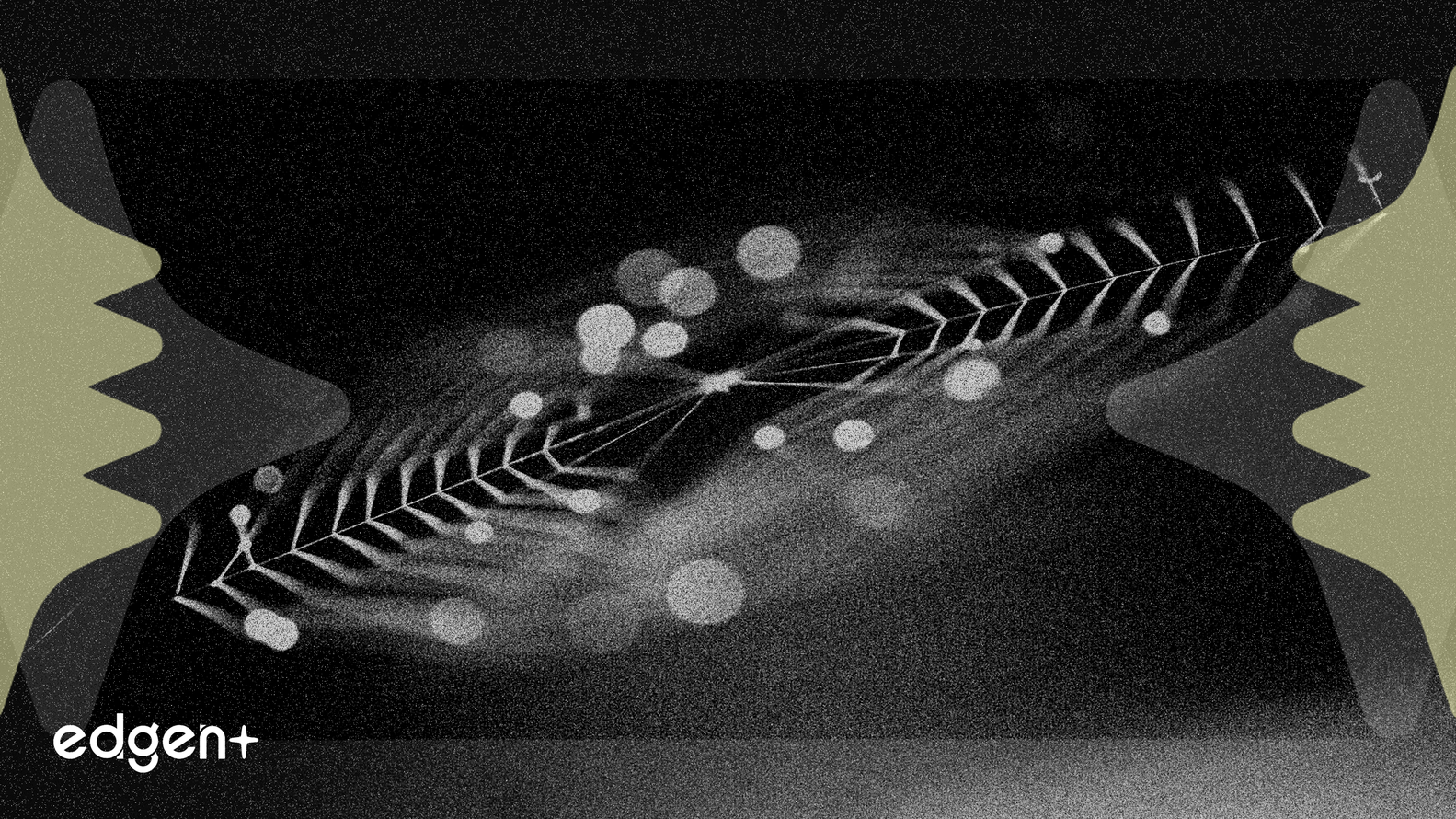 Nvidia Đầu Tư 2 Tỷ Đô La Vào Synopsys, Làm Sâu Sắc Tích Hợp AI Trong Thiết Kế Chip