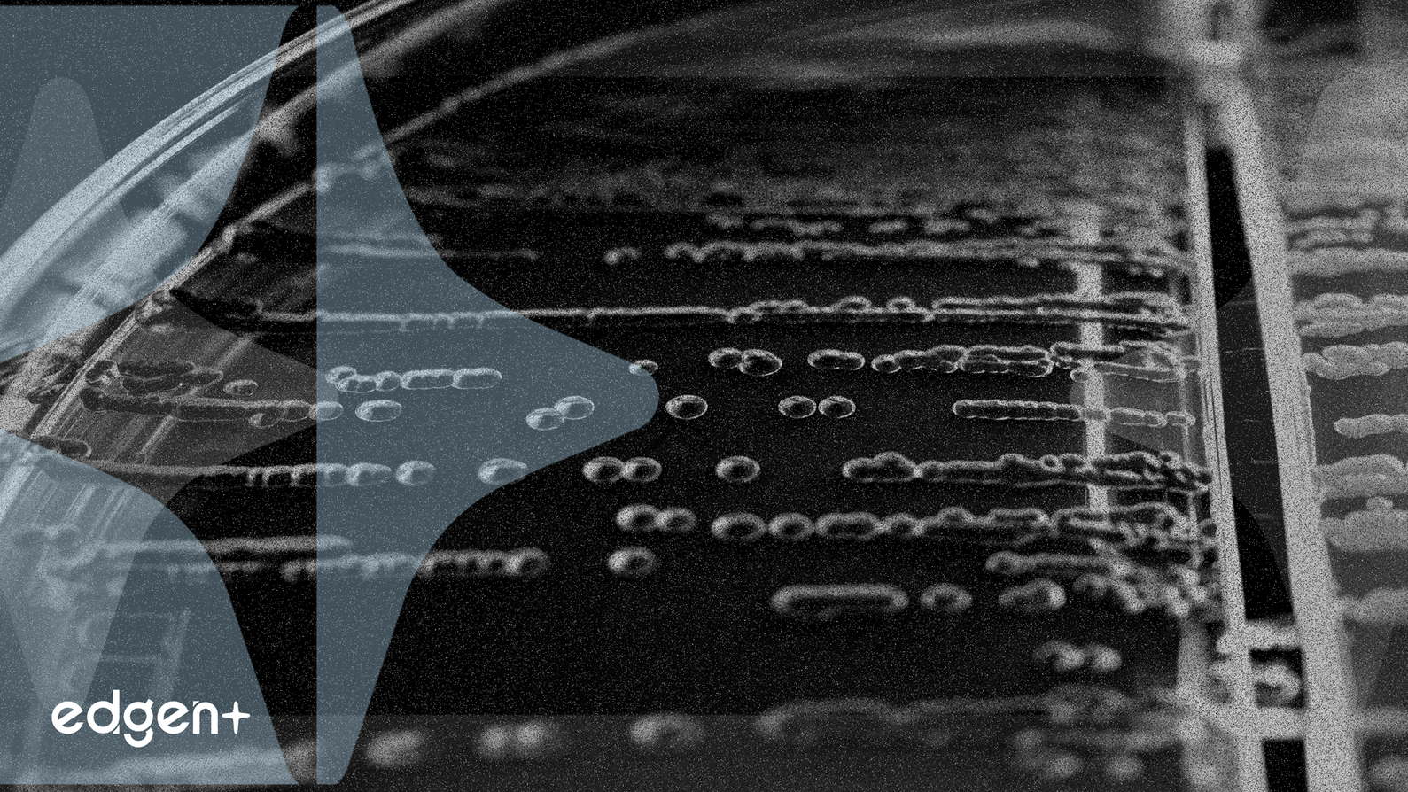 Thermo Fisher Boosts Biomanufacturing with New E. coli Media