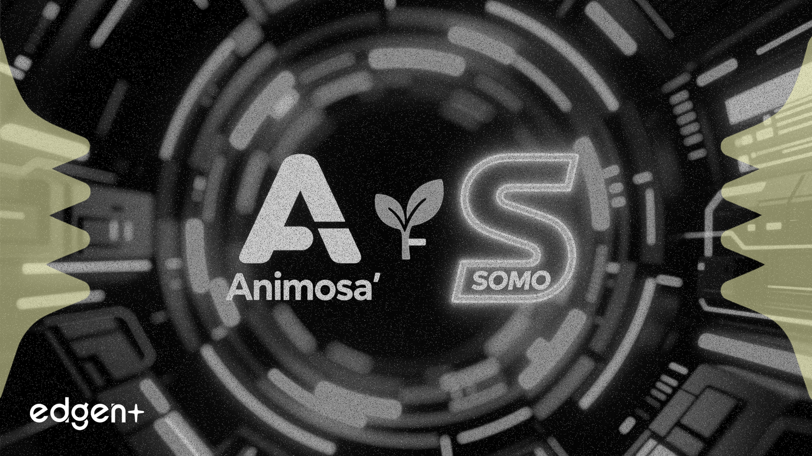 Animoca Brands mua lại SOMO để mở rộng danh mục trò chơi Web3