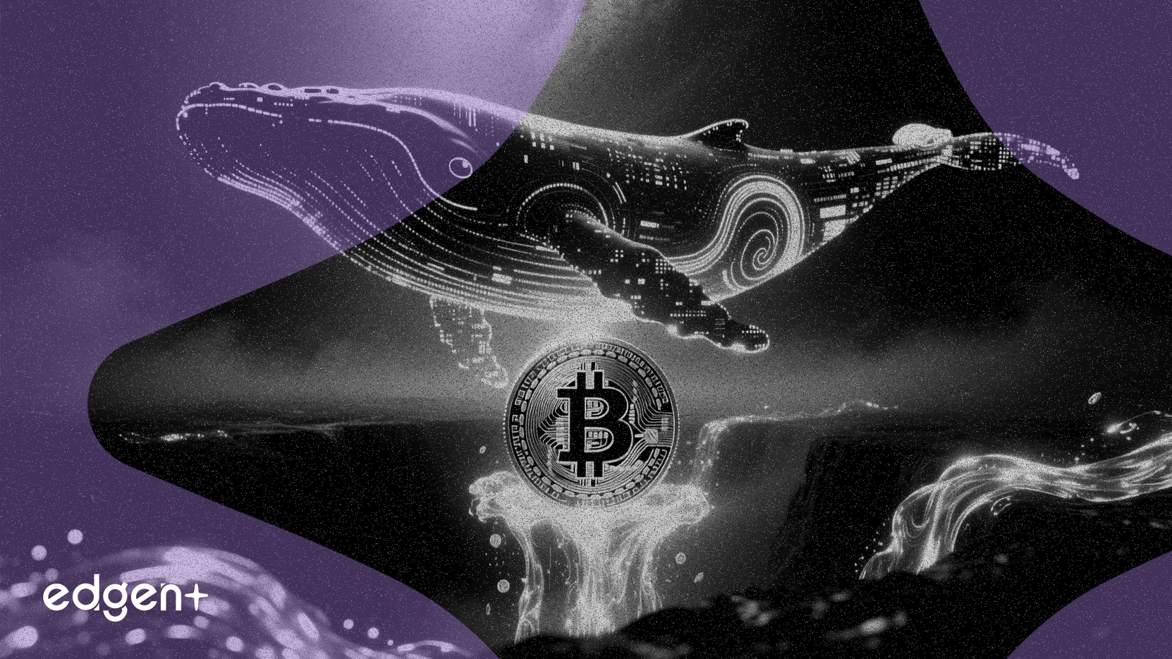 Ballena desconocida adquiere 9,45 millones de dólares en Shiba Inu en una acumulación de dos años