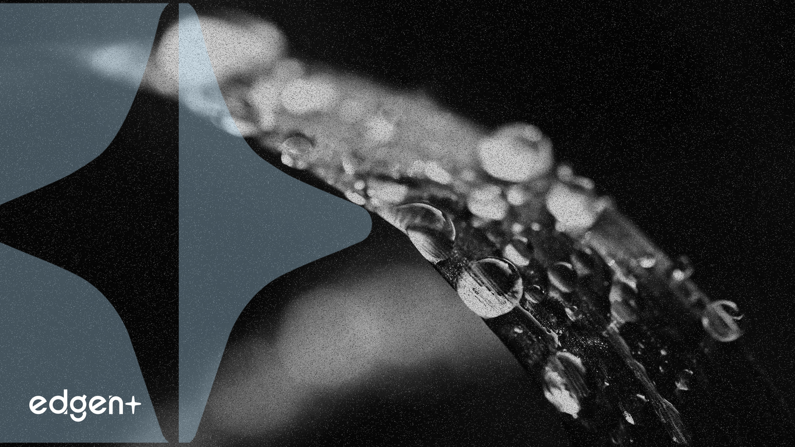 Bitwise Solana質押ETF首次亮相，資產管理規模達2.228億美元，Jito協議適應生態系統變化