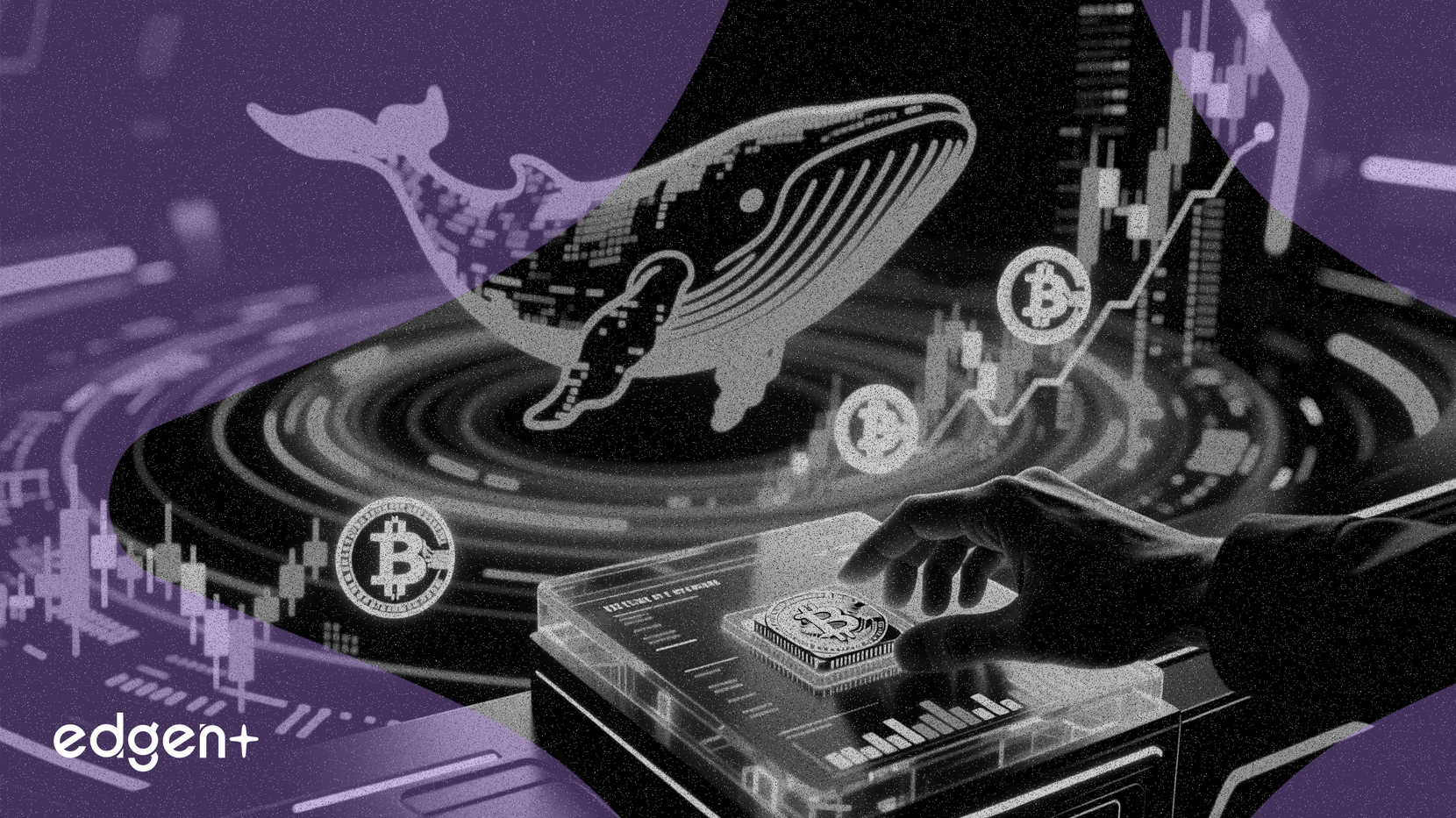 고래, Hyperliquid 통해 비트코인 및 기술주에 122만 달러 베팅