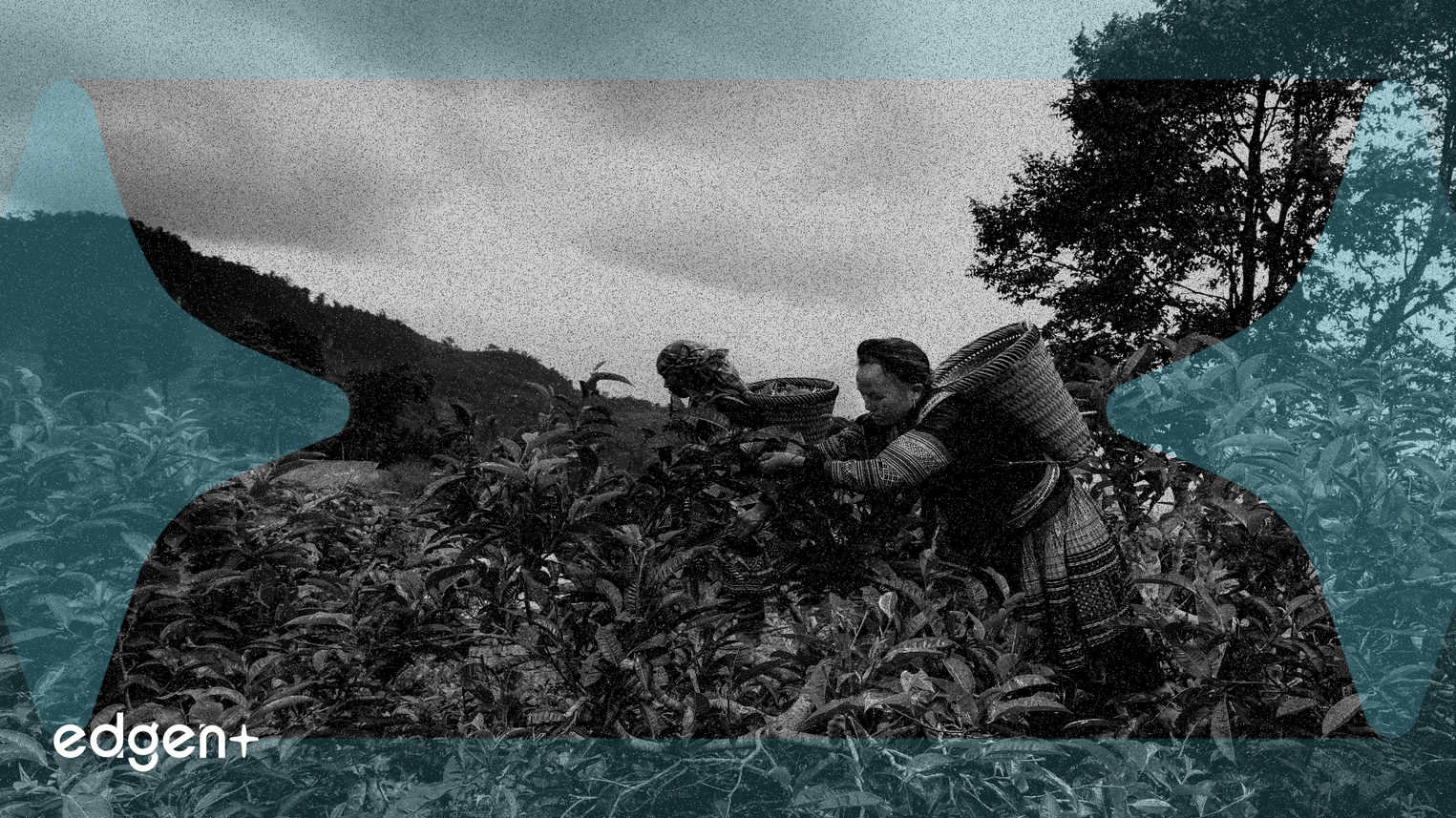 Crypto Projects Pivot TGE Strategy to Prioritize Sustainable Tokenomics