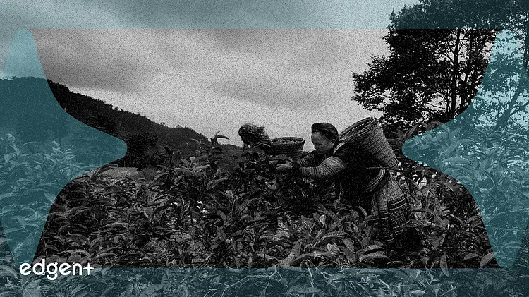 Crypto Projects Pivot TGE Strategy to Prioritize Sustainable Tokenomics