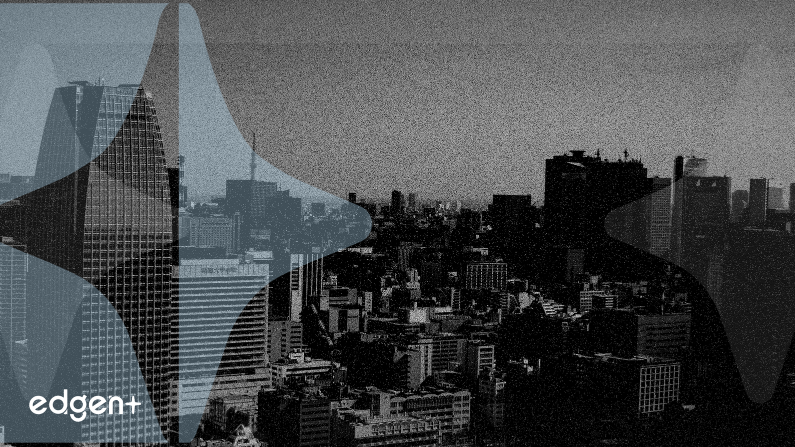 Metaplanet Capta Capital Tras Caída del 59% en sus Acciones