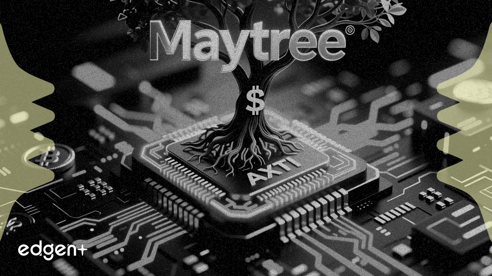 Maytree apuesta 11,16 millones de dólares por el proveedor de chips de IA AXTI