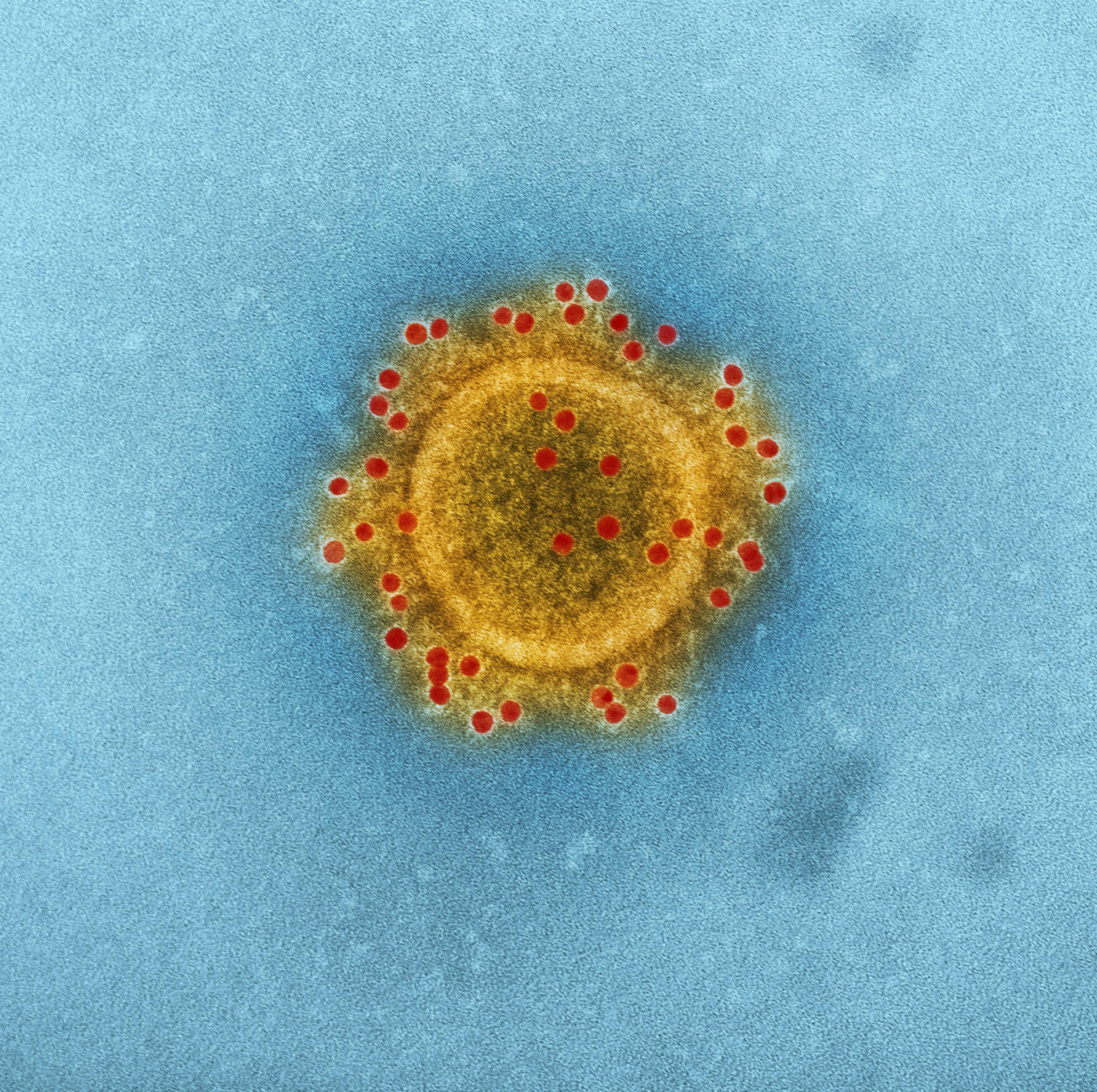 Moderna Shares Advance Following Positive Updated COVID-19 Vaccine Data